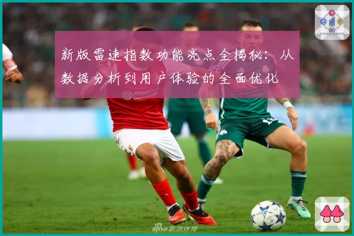 新版雷速指数功能亮点全揭秘：从数据分析到用户体验的全面优化