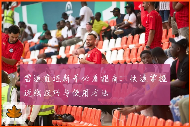 雷速直连新手必看指南：快速掌握连线技巧与使用方法