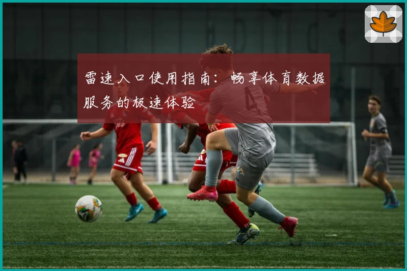 雷速入口使用指南：畅享体育数据服务的极速体验